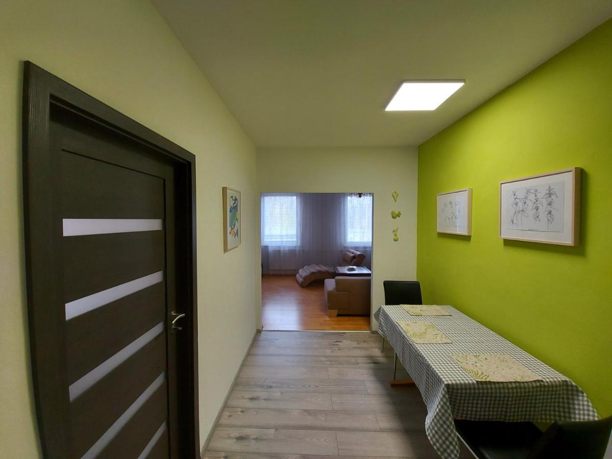 Apartman Eva - Plne Vybaveny Byt - Týn nad Vltavou מראה חיצוני תמונה